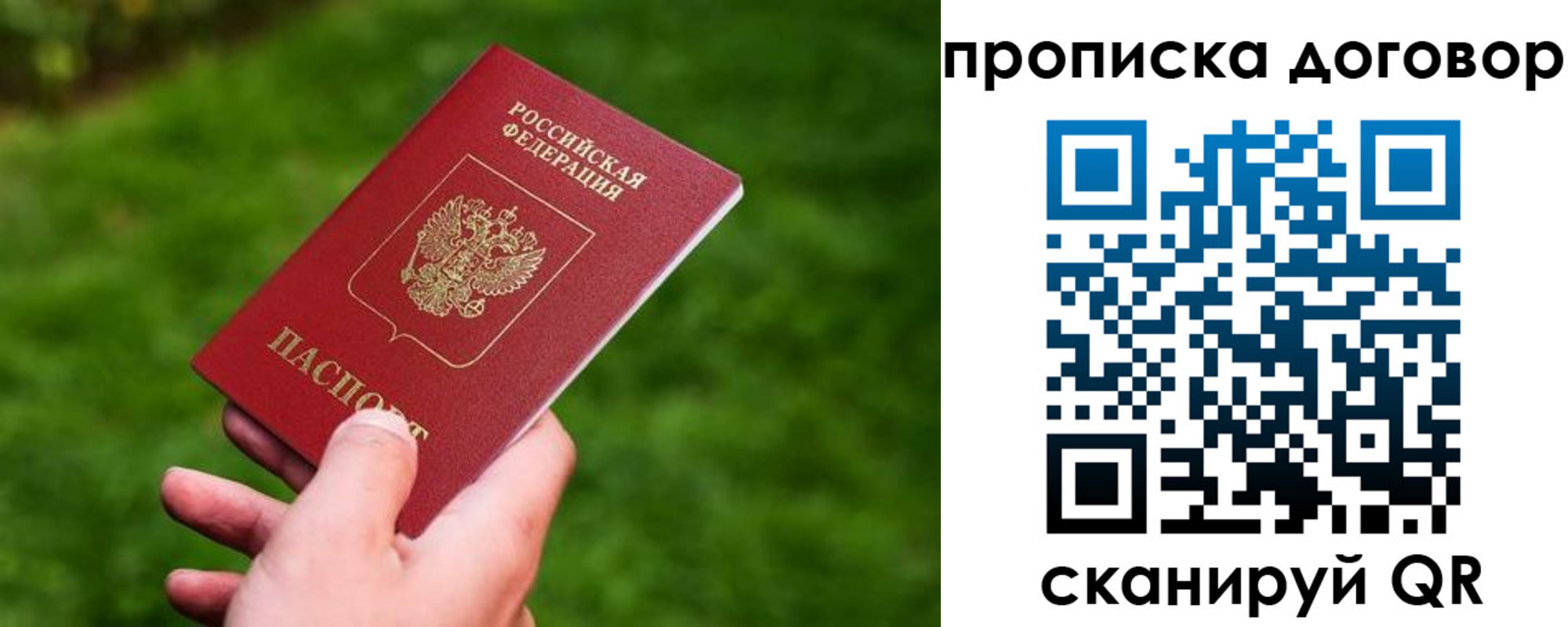 прописка гарантия в России